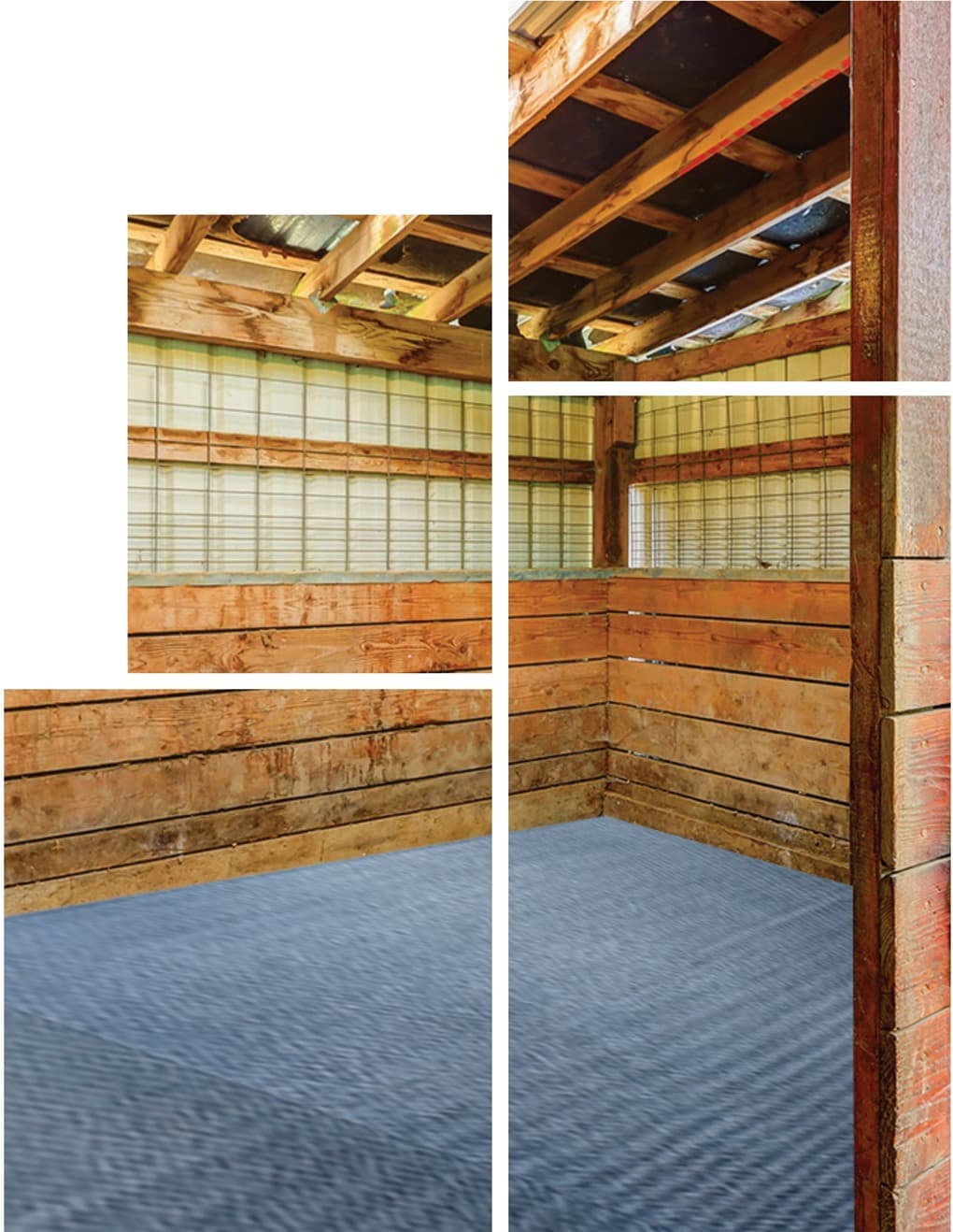 Equine Plus product image